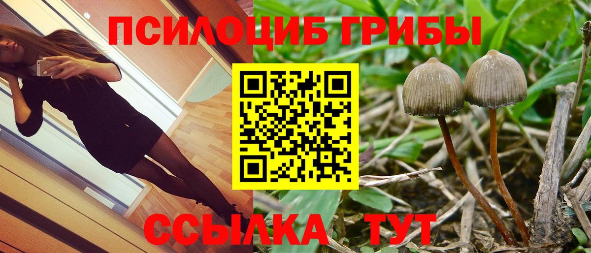 Галлюциногенные грибы мухоморы  купить наркотик  Архангельск  Вход с VPN  Псилоцибиновые грибы мухоморы 